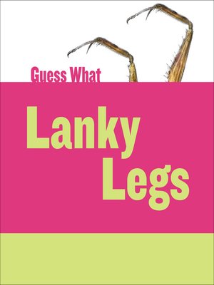 cover image of Lanky Legs